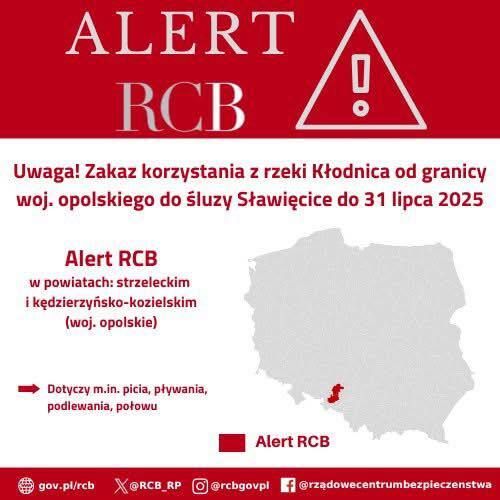 Infografika