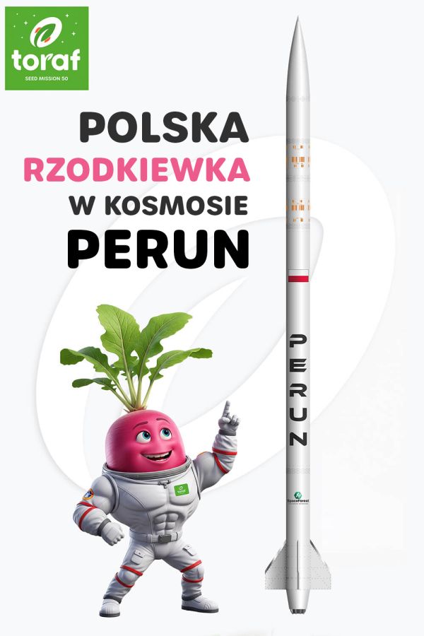 nasiona za Maciejowa lecą w kosmos