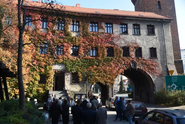 odsłonięcie pszczółki przy muzeum