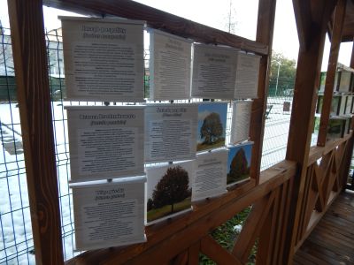 Wiata PSP2 Wolności 17