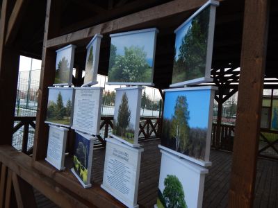 Wiata PSP2 Wolności 17