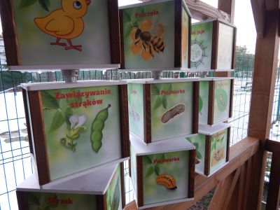 Wiata PSP2 Wolności 17