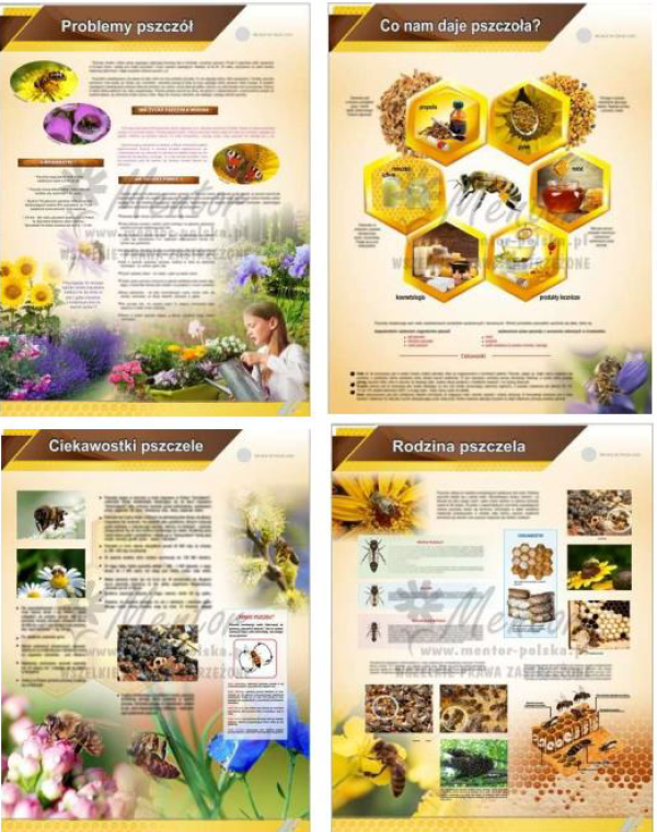 tablice pszczoła
