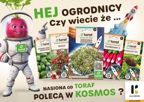 Media w całej Polsce piszą o Kluczborku – nasiona firmy TORAF polecą w kosmos!